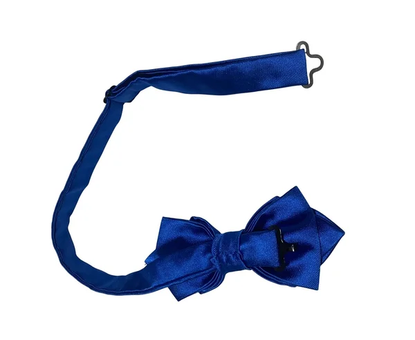 Sinine kikilips mehele / unikaalne kikilips