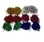Kisakoori pom pomid