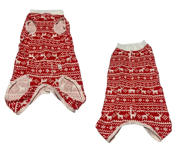 Christmas costume for a dog or large cat