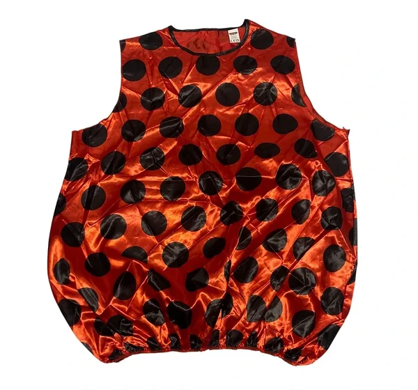 Ladybug costume full set for adult 