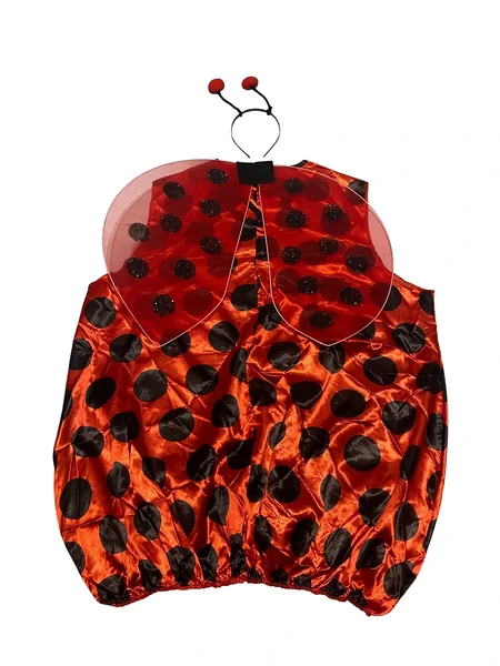 Ladybug costume full set for adult 