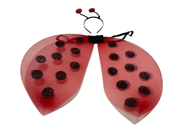 Ladybug costume full set for adult 