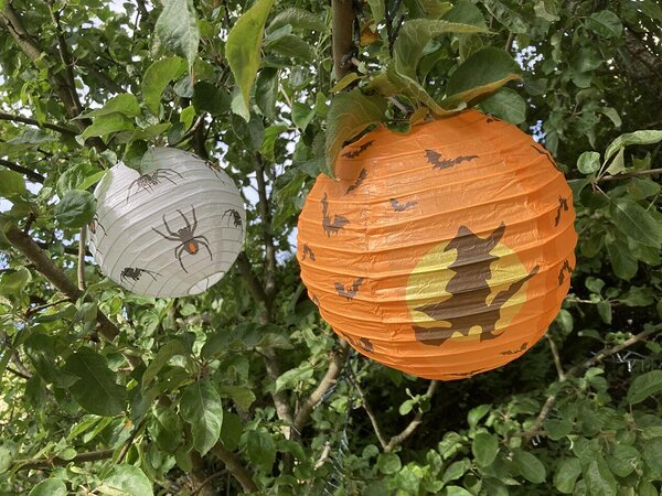 Halloween Lanterns