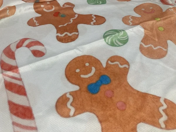Gingerbread costume for men / women