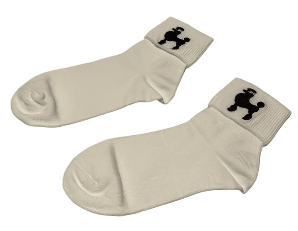 Puudliga sokid 1950ndate peole