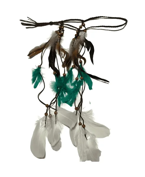 Sulgedega peaehe / peavõru