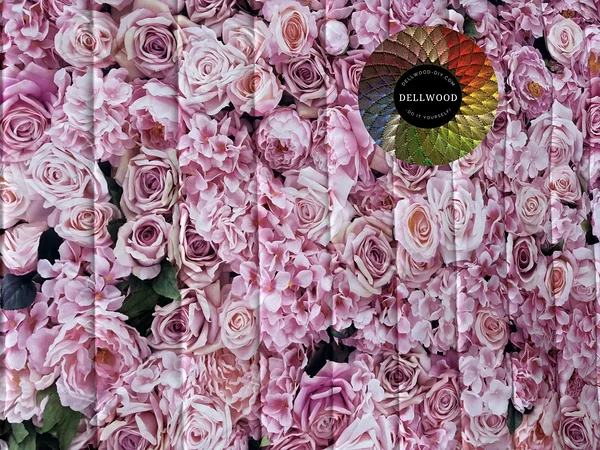  Pink rose photo backdrop