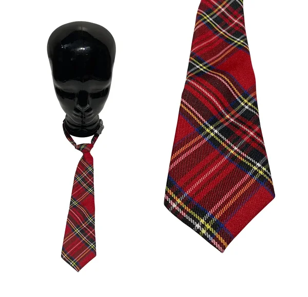 Plaid Tie for Schoolboys