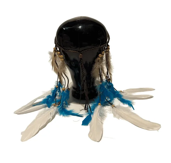 Sulgedega peaehe / peavõru