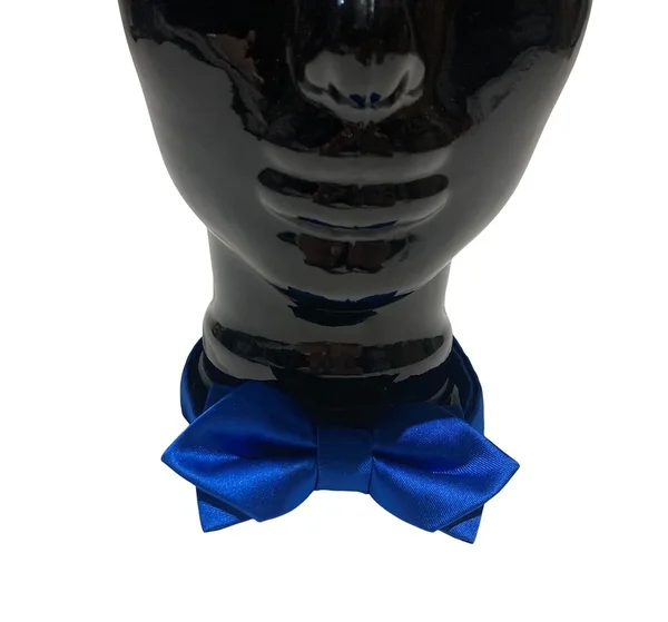 Sinine kikilips mehele / unikaalne kikilips