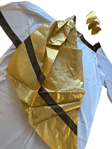 Meeste Vana-Rooma / Vana-Kreeka kostüüm kohe olemas