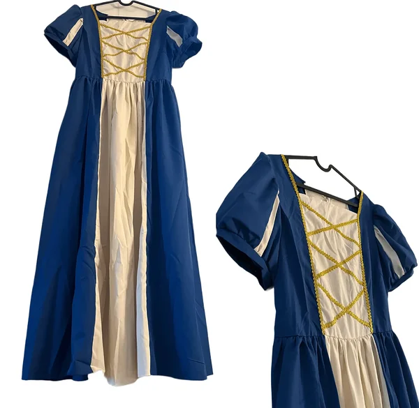 Printsessikleit täiskasvanule / sinine renessanss kleit