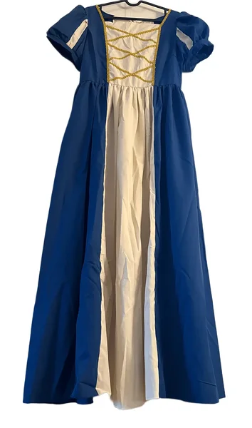 Printsessikleit täiskasvanule / sinine renessanss kleit