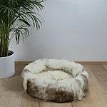 20251108 180143 ruut900