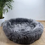 20251108 181414 ruut900 x