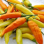 Tšilli   aji habanero   6 2