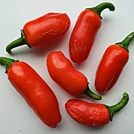Tšilli   jalapeno orange spice   4 2
