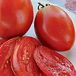 Tomat   amish paste   3 2