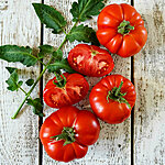 Tomat   pantano romanesco   1