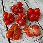 Tomat   reisetomate   4 2