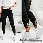 Img 2631