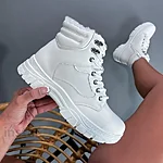 Img 3669