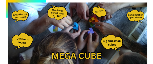  strategy game - Mega Cube