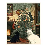 Kes koputas postkaart