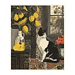 Kollane serenaad postkaart