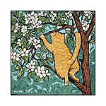 Maikro kollane kass signatuuriga