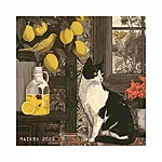 Maikro kollane serenaad lõuend (1)