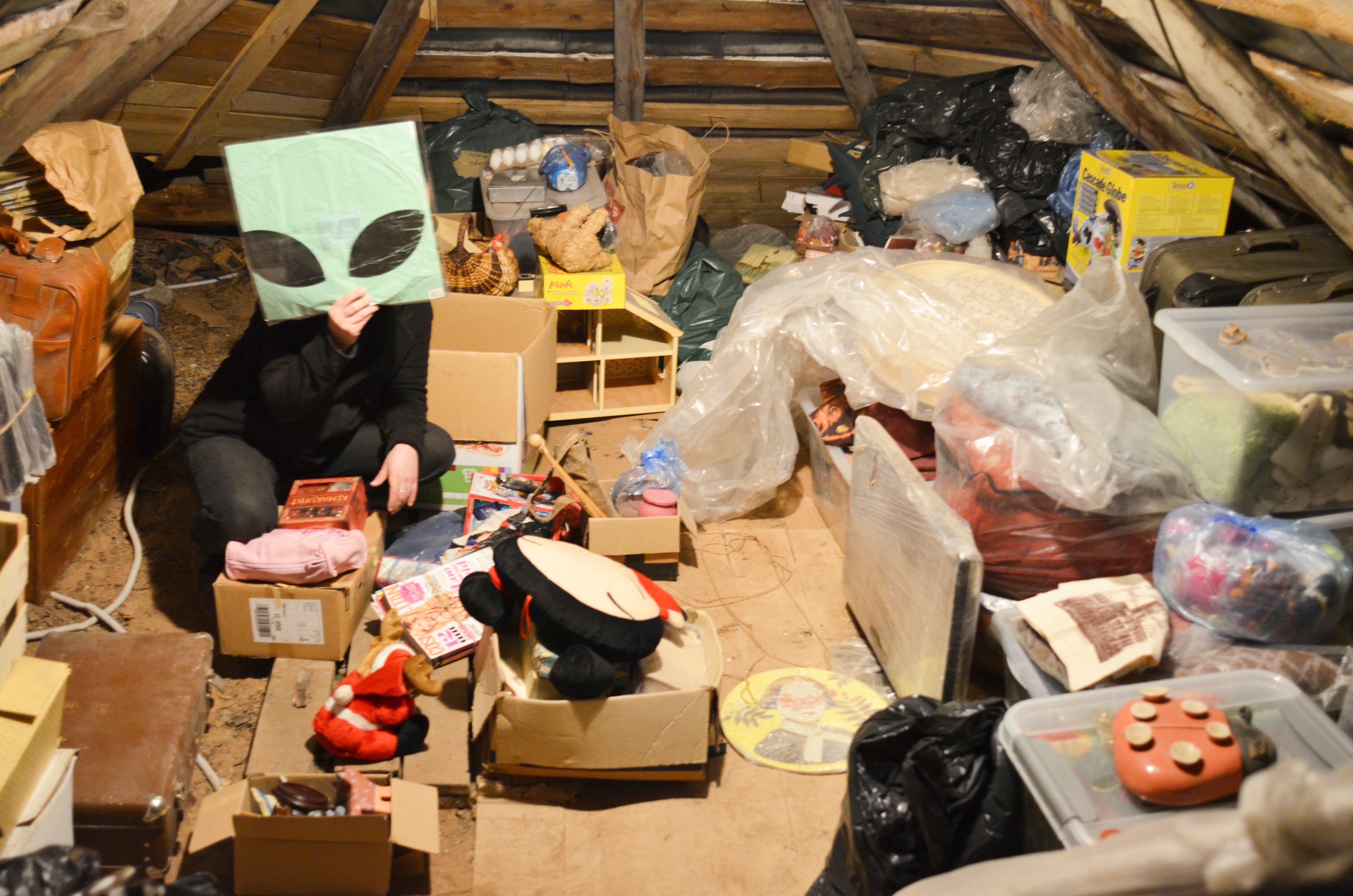 Pööningul sorteerimise käigus avastatud „tulnukas“. Ajakapsliks muutunud pööning on täis minevikukihte, mille vahel võib leida nii mälestusi kui ka täiesti ootamatuid esemeid.