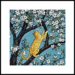 Tere tulemast, kollane kass