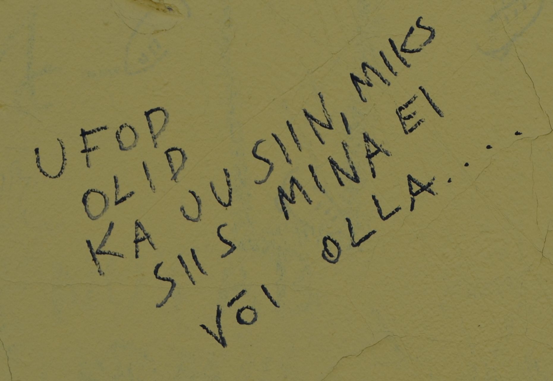 See juhuslikult kohatud tänavakunstiteos haakub ootamatult Mikrogalerii teemadega – kes kuulub kunstimaailma ja kes jääb ukse taha?