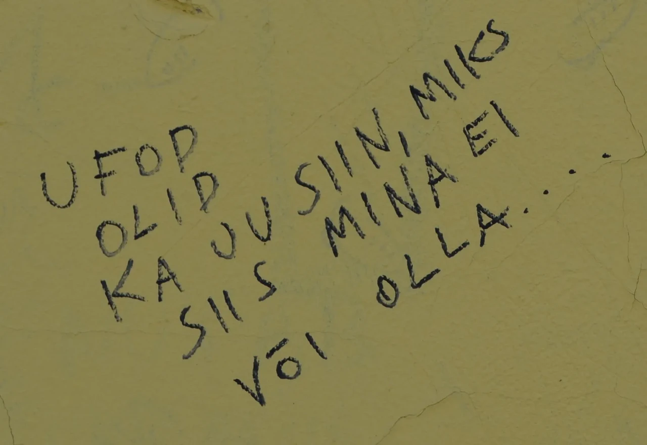 See juhuslikult kohatud tänavakunstiteos haakub ootamatult Mikrogalerii teemadega – kes kuulub kunstimaailma ja kes jääb ukse taha?