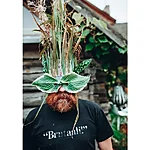 Voronja postkaart brutaali 3