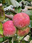 Img 4748 2