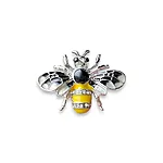 Pross   mesilane photoroom