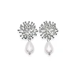 Transparent photoroom (1)