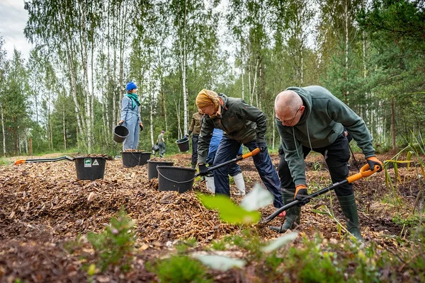 Foto: Anna Birgitta Erikson