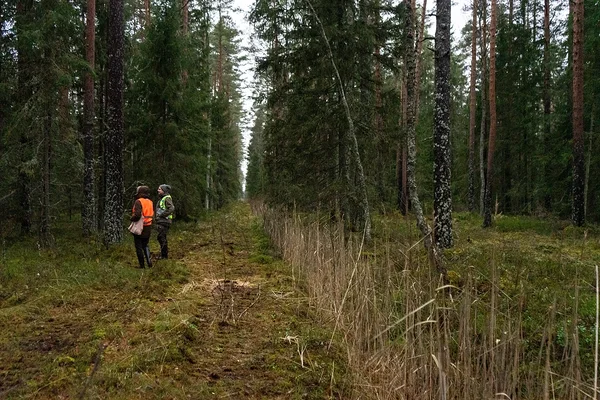 Planeeritavate taastamisalade ülevaatus 04.12.2025, Foto: Anna Brigitta Erikson.