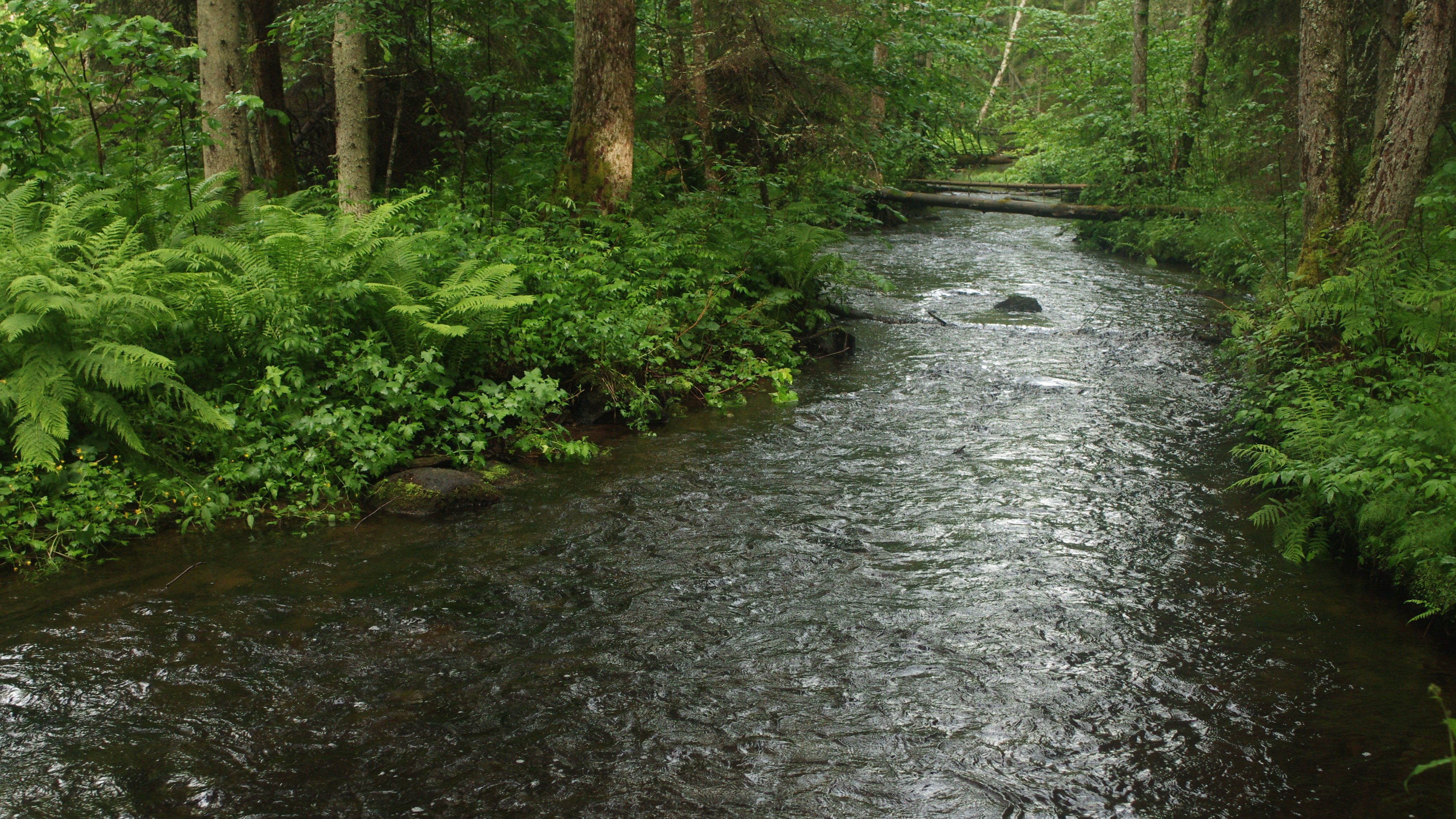 Nimekiri vooluvetega tegelejatest Eestis