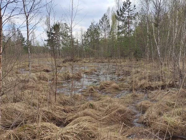 Enne taastamistöid, 23.04.2024.