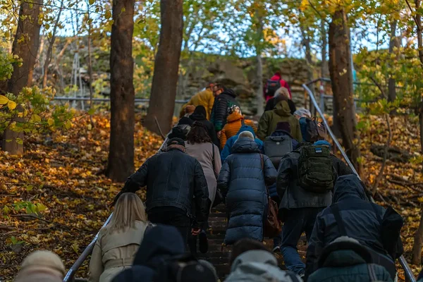 Väga harva leidub vääriselupaiku ka linnas - Tallinnas Maarjamäel mööda klinti kulgev mets on just üks selline eriline koht. 