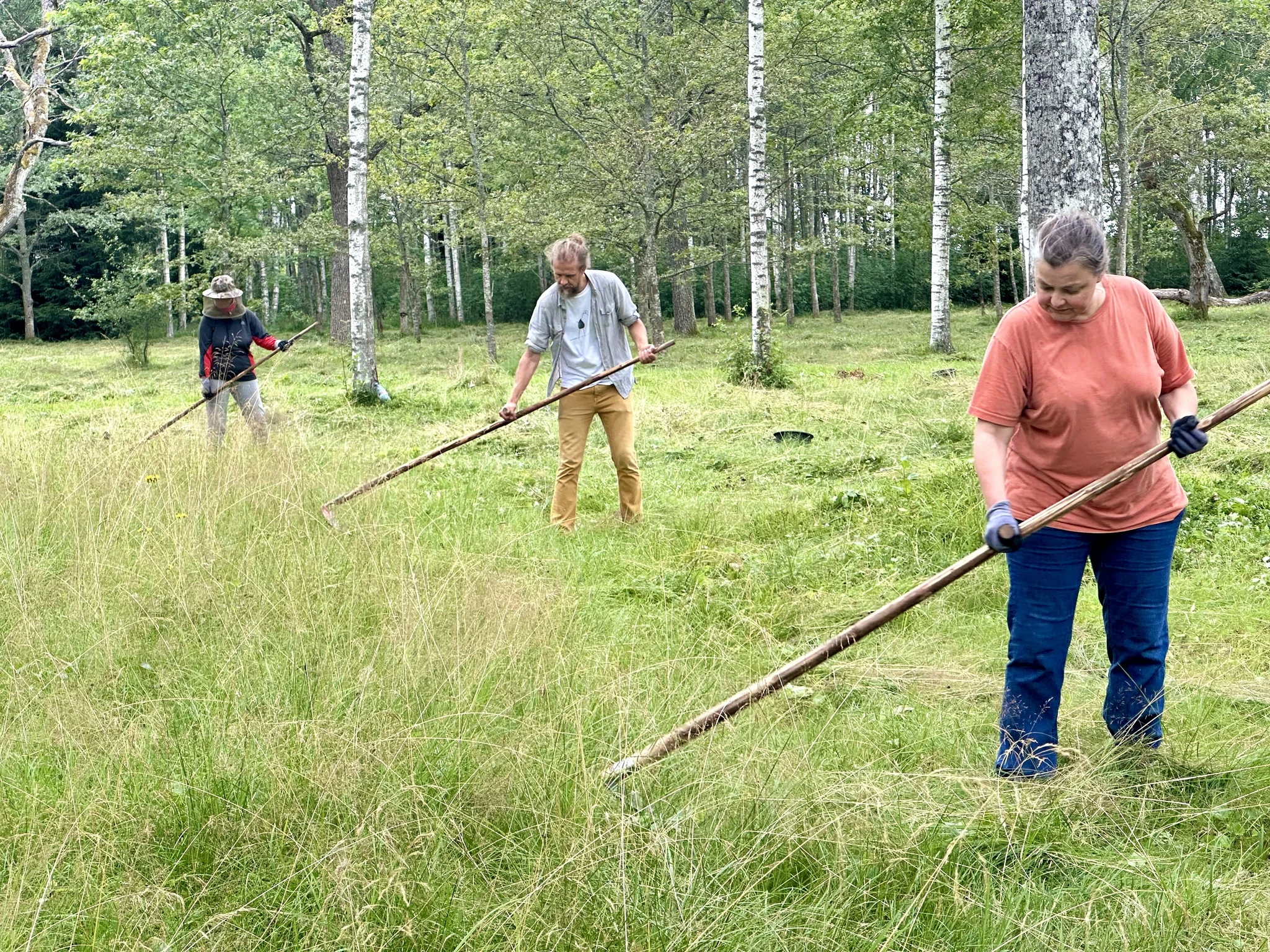 Puisniitude taastamine ja jätkusuutliku majandamise edendamine Eestis ja Lätis ehk PuisniiduLIFE