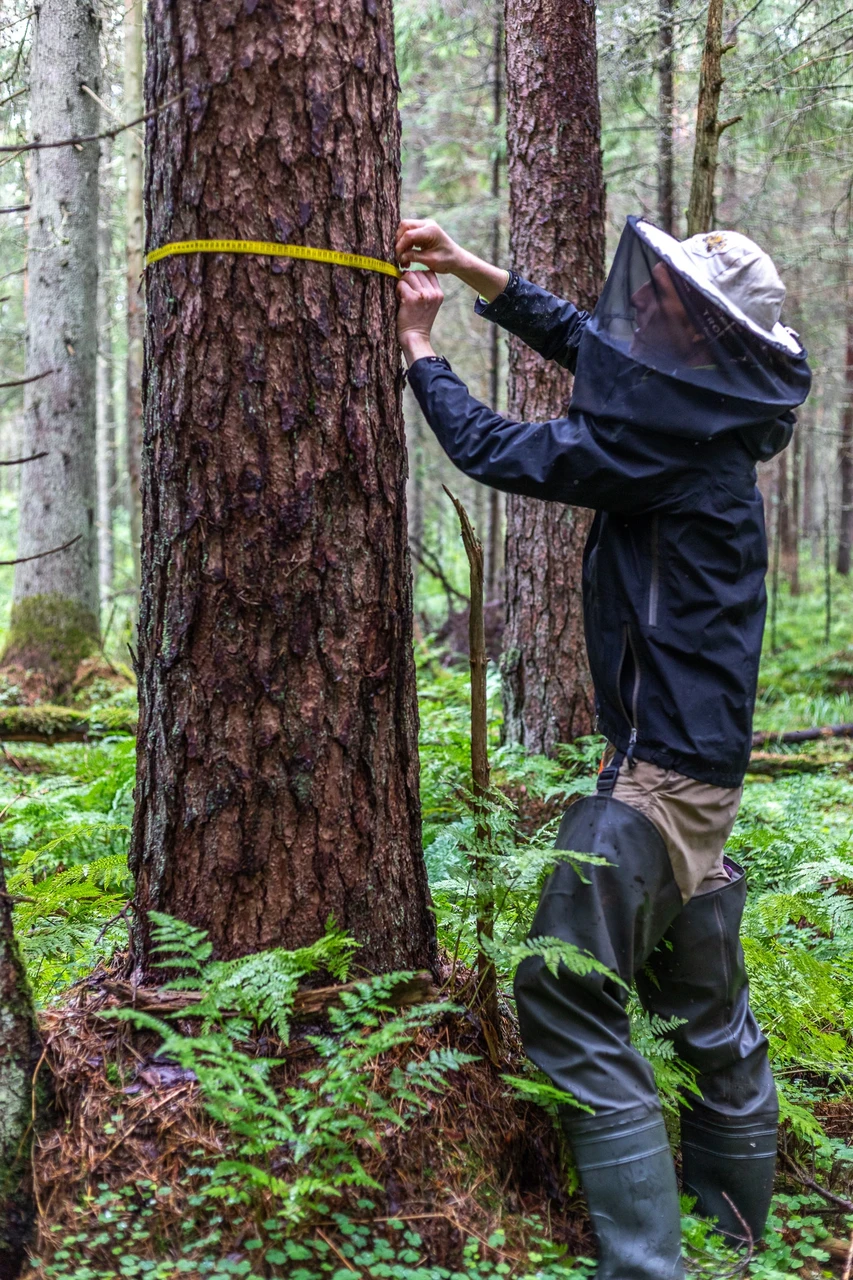 Välitööd kihulasi trotsides. Foto: Katre Liiv