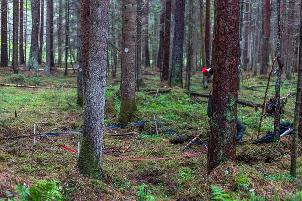 Seireruut, mille iga nurk vaatab ühte põhiilmakaarde. Foto: Katre Liiv