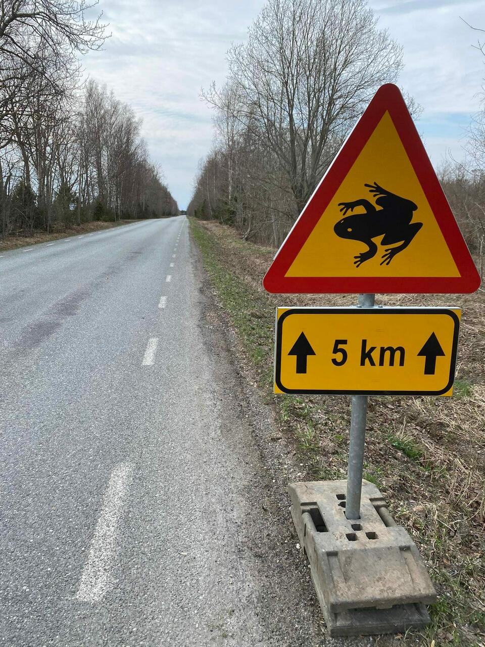 Autojuht, konnamärgi piirkonnas ole eriti valvas ja vähenda kiirust!