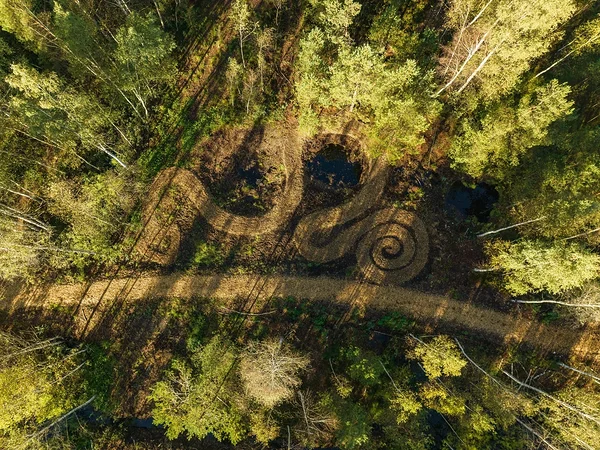 Kõrsa teadusraja kõrval kulgeb maastikukunstiteos "Madu". Droonifoto: Marko Kohv.