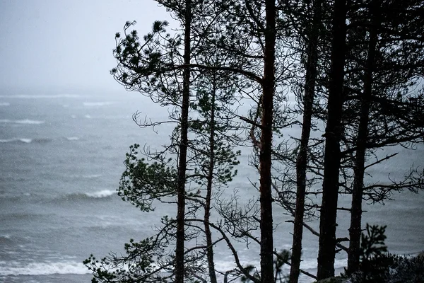 Läänemeri. Foto: Katre Liiv